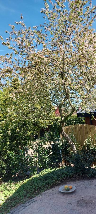 Natuur, Comfort, Rust, Mooie Omgeving بوتِنْ المظهر الخارجي الصورة
